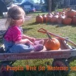 Pumpkin Week – Part One
