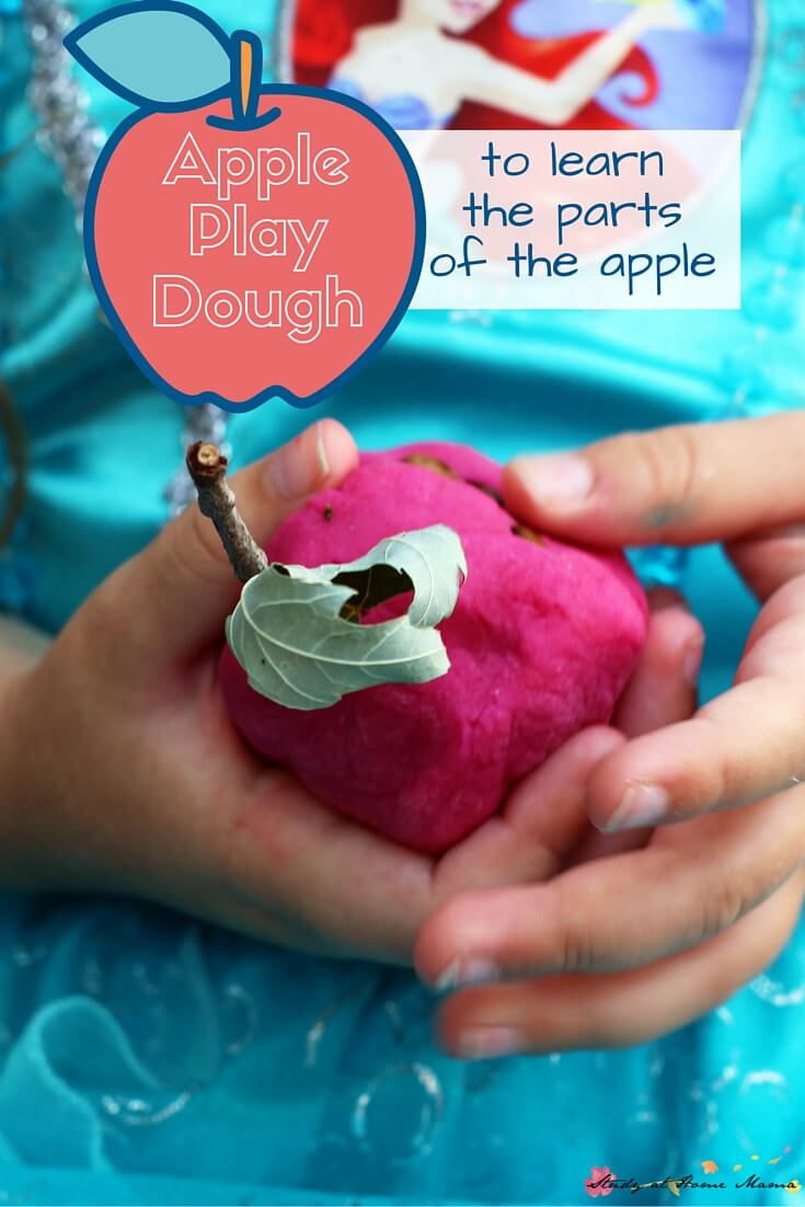 Homemade Apple Play Dough - a great way to teach children about the parts of an apple (along Montessori 3 part cards) and have fun practicing with apple cutters