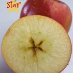 How the Apple Got It’s Star: A Traditional Waldorf Story