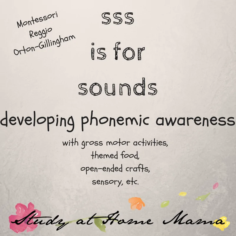 sss is for sounds #montessori #reggio #lettersounds #phonemes #orton-gillingham