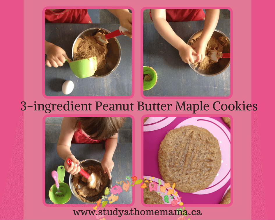 3-ingredient Peanut Butter Maple Cookies at Study-at-Home Mama