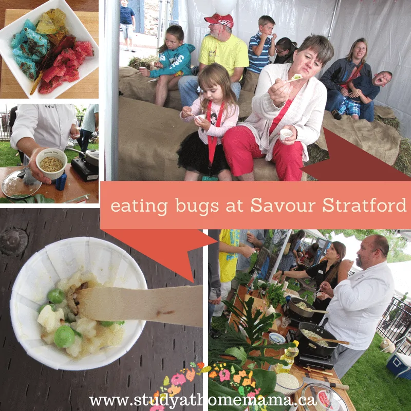 eating bugs at Savour Stratford