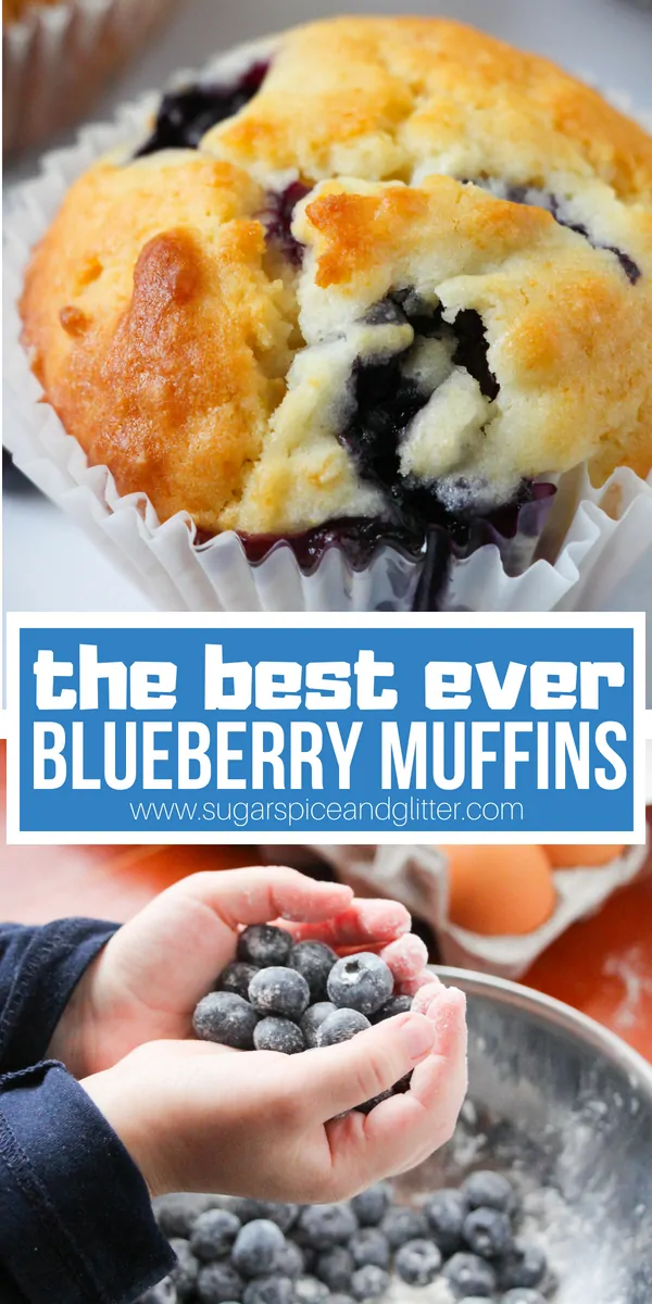 These best ever blueberry muffins have a touch of maple syrup, for super fluffy blueberry muffins with golden crunchy tops - seriously, bakery quality muffins made by kids
