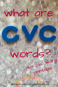 CVC words printable at Sugar, Spice and Glitter