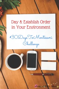 Day 8: Establish Order in Your Environment
