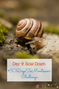 Day 9: Slow Down