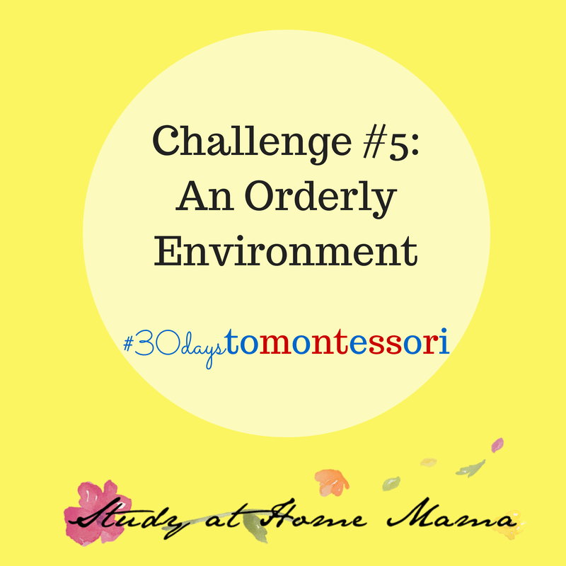 Challenge #5: An Orderly Environment