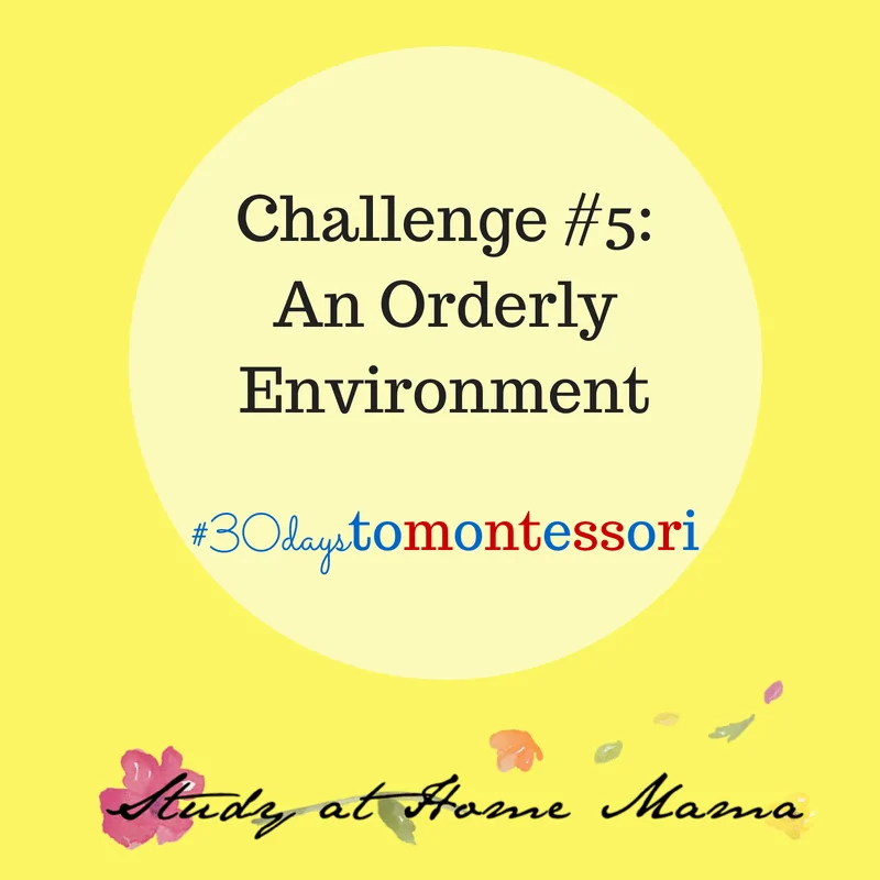 Challenge #5: An Orderly Environment