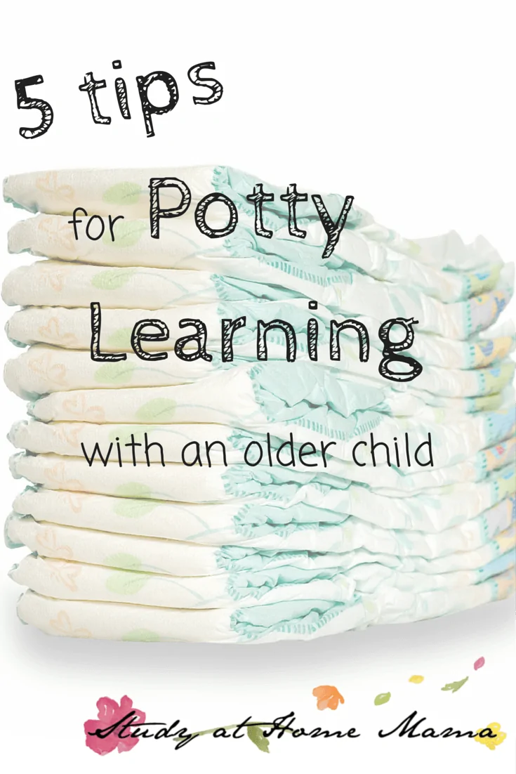 Is there a Potty Learning Window?: How To Potty Train Older Children