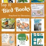 Top Ten Bird Books for Montessori Preschoolers