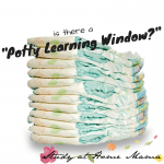 Is There a “Potty Learning Window”?