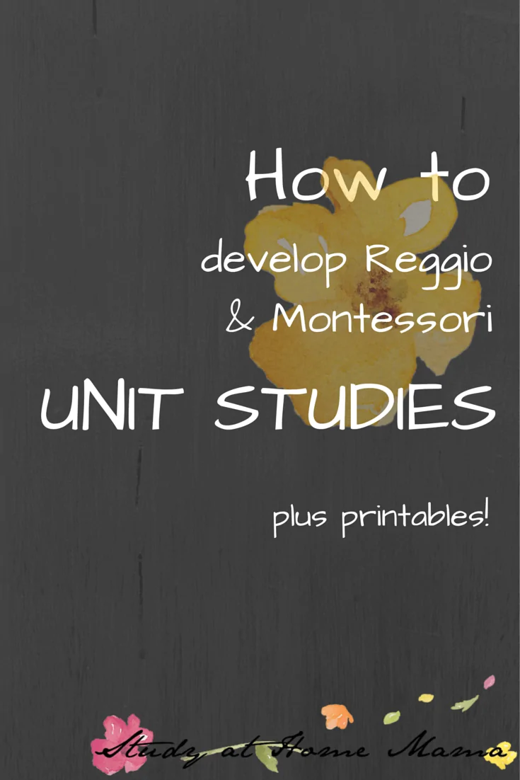 How to develop Unit Studies: Reggio and Montessori