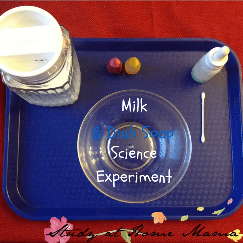 Milk Science Experiment