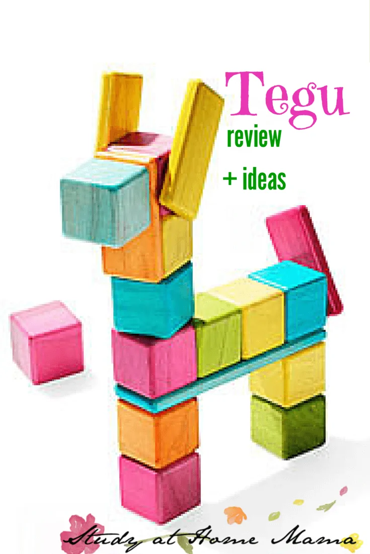 Tegu review + ideas