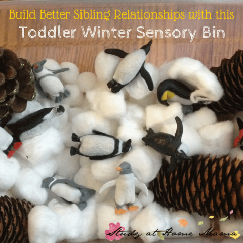 Toddler Winter Sensory Bin(1)