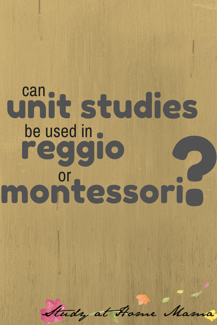 reggio montessori unit studies