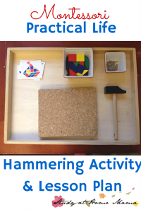 Montessori Practical Life Lesson: Hammering Activity