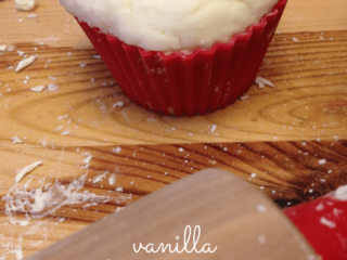 vanilla (1)