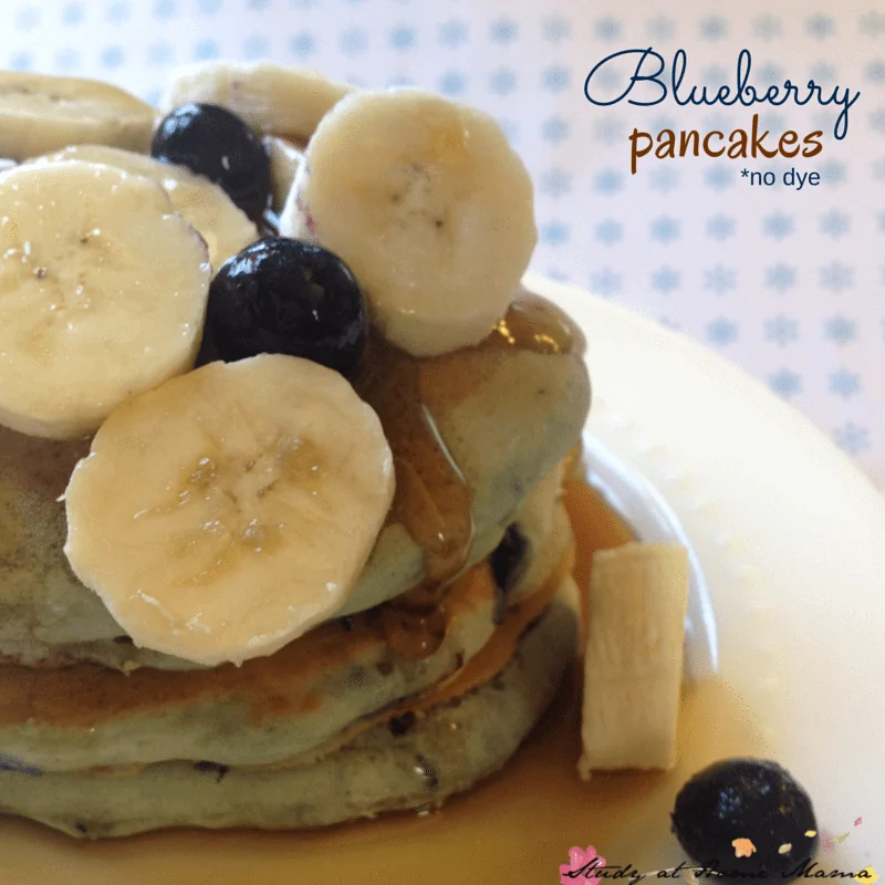 These Blueberry pancakes are a protein-rich, easy breakfast idea for the kids. The blueberries give the pancakes a blue hue without any dye, making these a great healthy breakfast option!