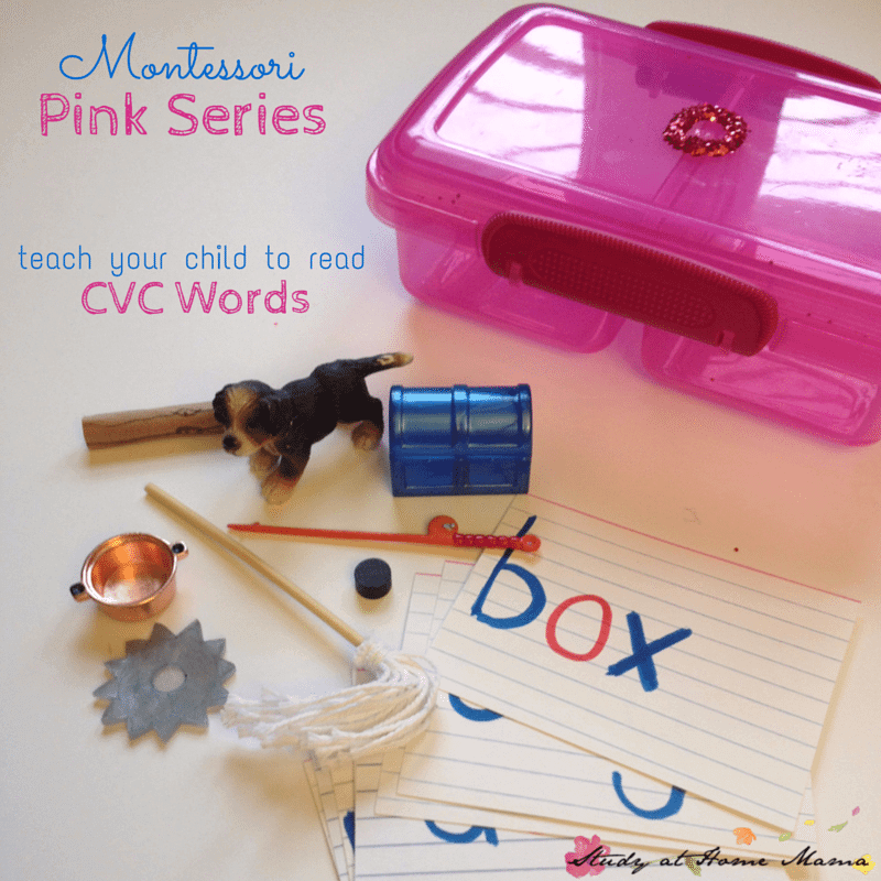 Montessori Pink Series