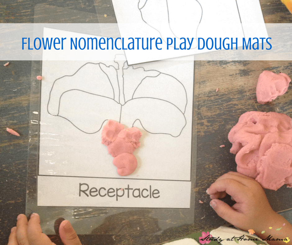 Flower Nomenclature Play Dough Mats