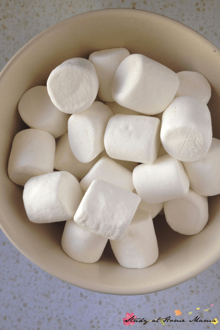How to make smores cake - first, microwave your marshmallows