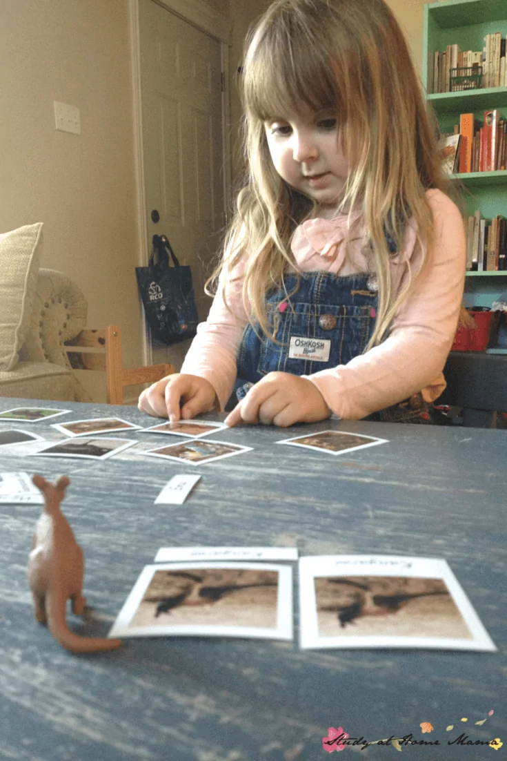 Montessori 3-part Cards for Australian Animals, part of a Australian Continent Box - a great way to do an Australia Unit Study or study geography for kids. Montessori Continent Boxes are such an amazing learning tool!