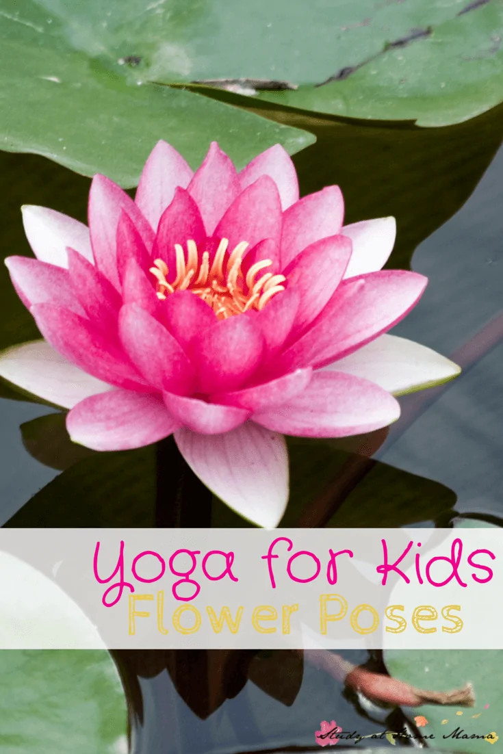 Yoga for Kids: Flower Poses. How to safely do yoga with kids, including lotus pose, flower pose, and lotus mudra.