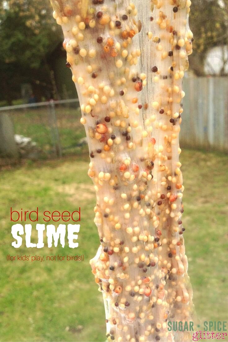 This bird seed slime is one of our favourite sensory activities for kids! Perfect for learning about birds with kids as part of a bird unit study, or just a rainy day activity.
