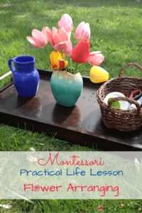 Montessori Practical Life Lesson: Flower Arranging