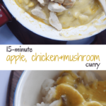 Quick Apple Chicken Curry Recipe