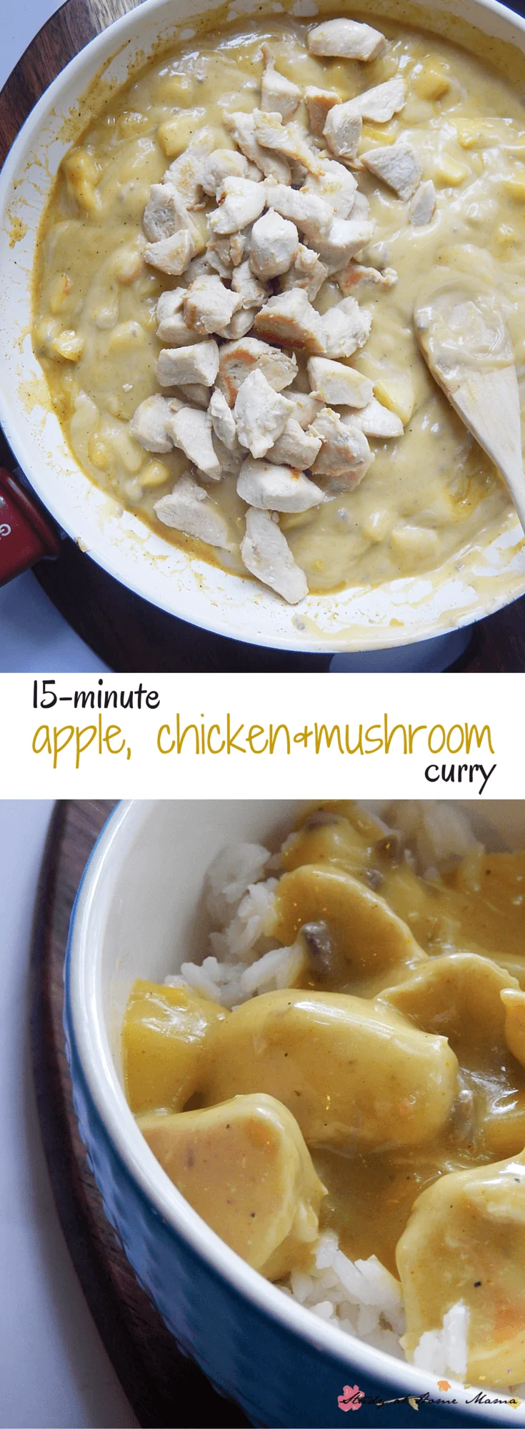 Quick Apple Chicken Curry Recipe