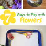 7 Ideas for Playing with Flowers