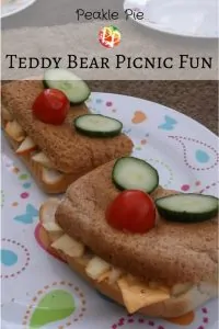 Teddy Bear Picnic Ideas from Peakle Pie