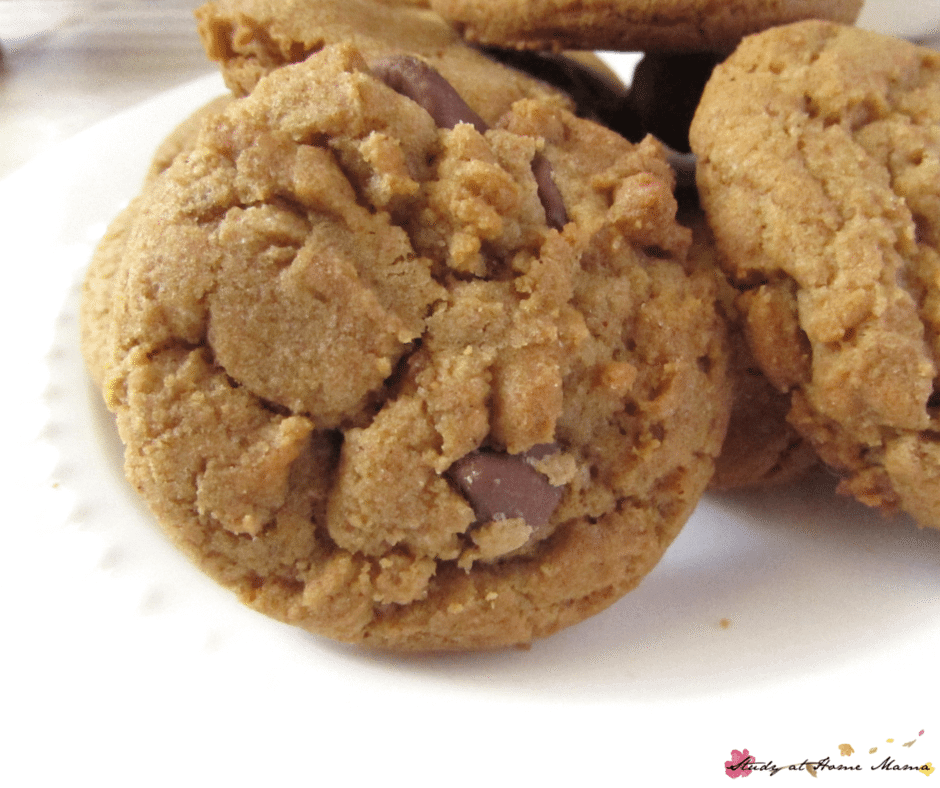 Chocolate Chip Cookie recipe -- these are the best chocolate chip cookies you will ever have! Buttery with a slight caramel flavour... make these now!