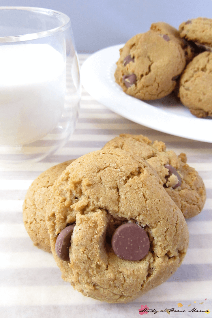 Chocolate chip cookies - you're going to want a glass of milk to go with these buttery and decadent homemade chocolate chip cookies