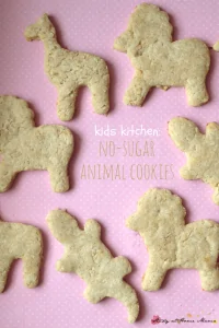 Kids Kitchen: Sugar-free Animal Cookies