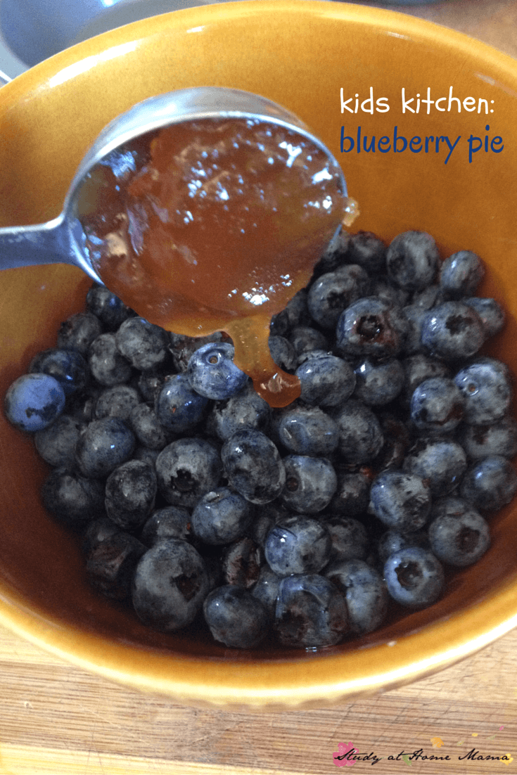Kids Kitchen: Blueberry Pie - an easy healthy recipe for blueberry pie that kids can make from start to finish, and it's a delicious summer recipe to boot!