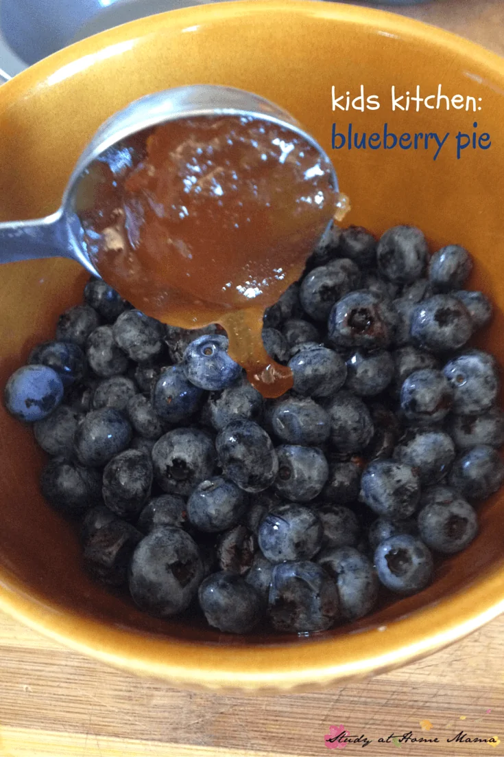 Kids Kitchen: Blueberry Pie - an easy healthy recipe for blueberry pie that kids can make from start to finish, and it's a delicious summer recipe to boot!