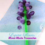 Lupine Mixed Media Provocation