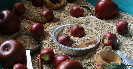 Apple Pie Sensory Bin - the perfect way to welcome fall. Full of fall scents and textures, and plenty of learning opportunities, too!