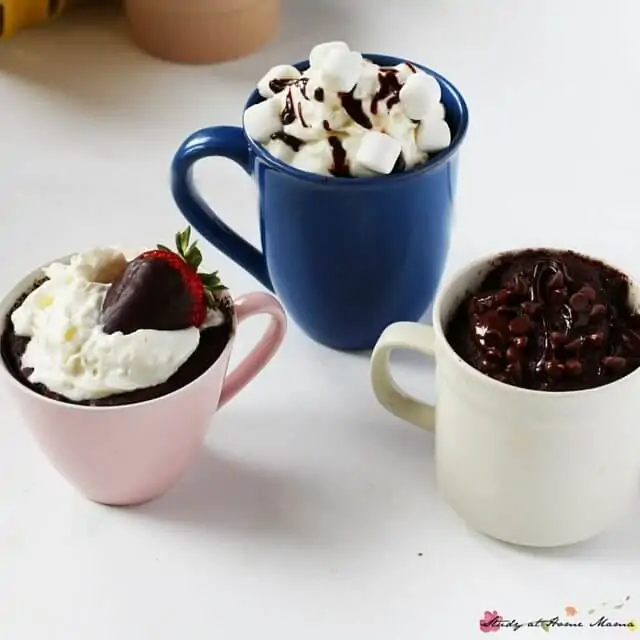 3 Amazing Recipes for One-Minute Lava Mug Cakes - you won't believe how simple and easy this delicious dessert is to make!
