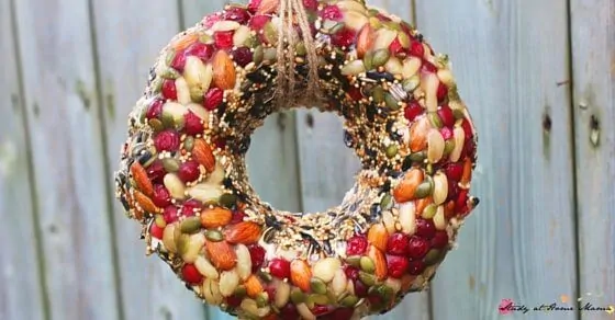 Looking for an easy Bird Feeder Kids Can Make? A beautiful Bird Feeder Wreath to decorate your yard and attract the birds. Perfect for a bird unit study or your nature-loving child