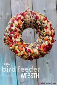Easy Bird Feeder Wreath