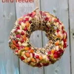 Kid-Made Bird Feeder Wreath (with Video)