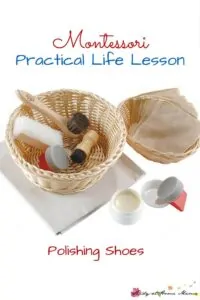 Montessori Practical Life Lesson: Polishing Shoes