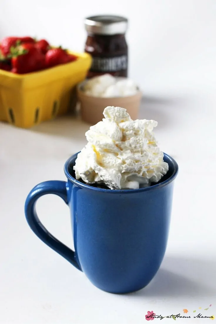 What could make these One-Minute S'mores Lava Mug Cakes even better? A generous pile of whipped cream... Oh you are going to want to make this now.