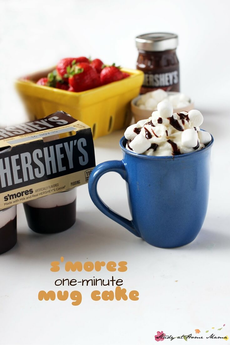 One-Minutes S'mores Lava Mug Cake - so much deliciousness in one mug! Cake, pudding, and s'mores, oh my. The perfect one-serving dessert