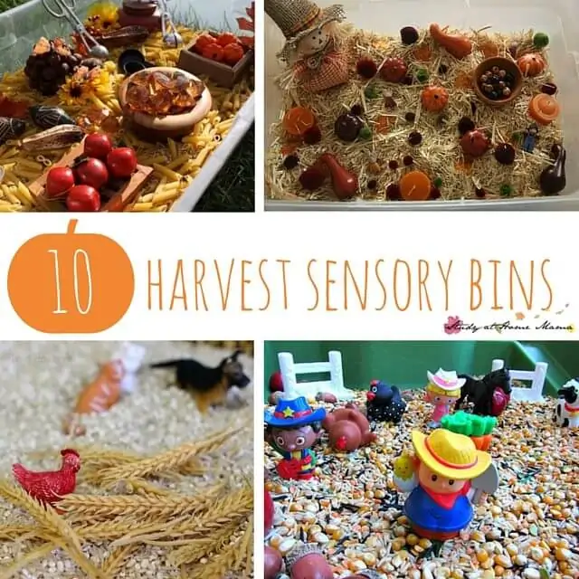 10 Easy Fall Sensory Bins to celebrate harvest with kids. Unique autumn sensory play ideas based on farms