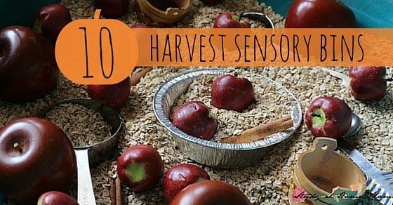 10 Harvest Sensory Bins, gorgeous autumn sensory activities for kids to learn about harvest, or a collection of great farm sensory play ideas.